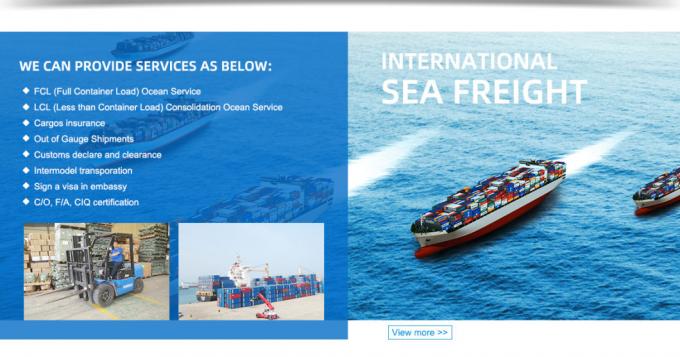 Oceano rápido do mar de Zim Forwarding DDP do agente dos remetentes de frete da parte superior 10 que envia China à Índia dos EUA Malásia Singapura