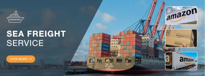Oceano rápido do mar de Zim Forwarding DDP do agente dos remetentes de frete da parte superior 10 que envia China à Índia dos EUA Malásia Singapura